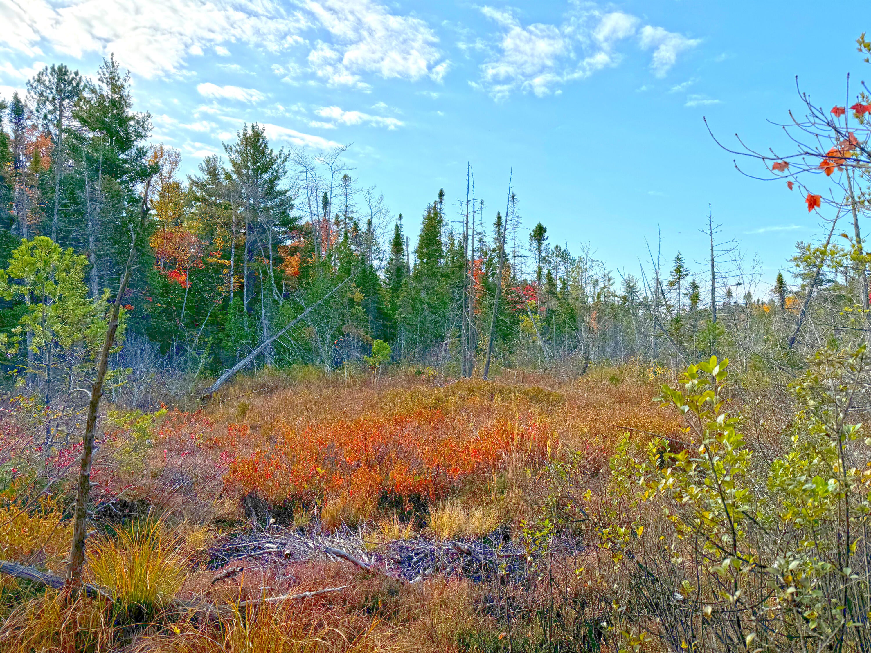 14859 North Whitefish Point Road Paradise, MI 49768 - Photo 13 of 14 Gallery Image 13