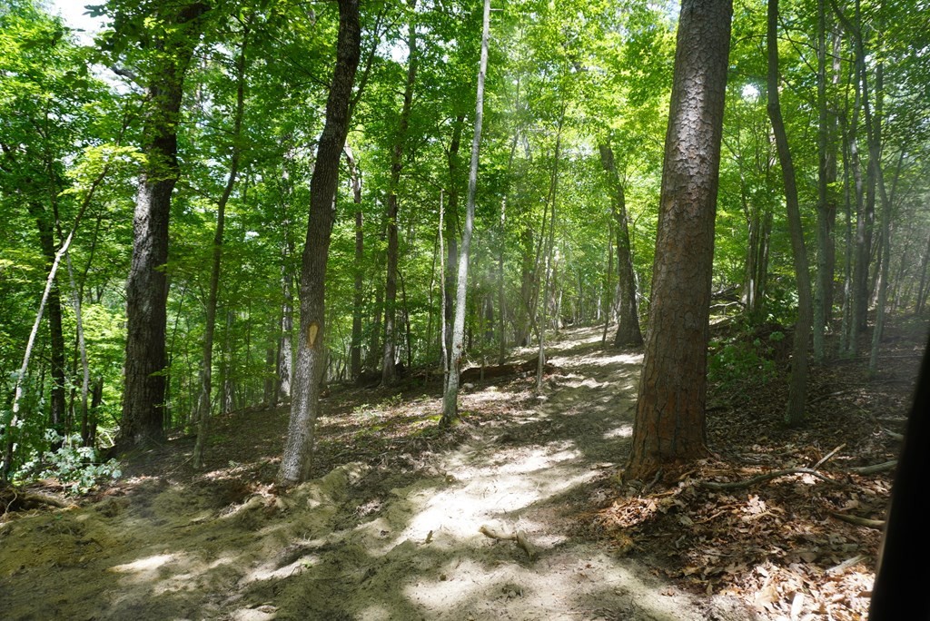 3301 Joppa Mountain Road Rutledge, TN 37861 - Photo 15 of 50 Gallery Image 15