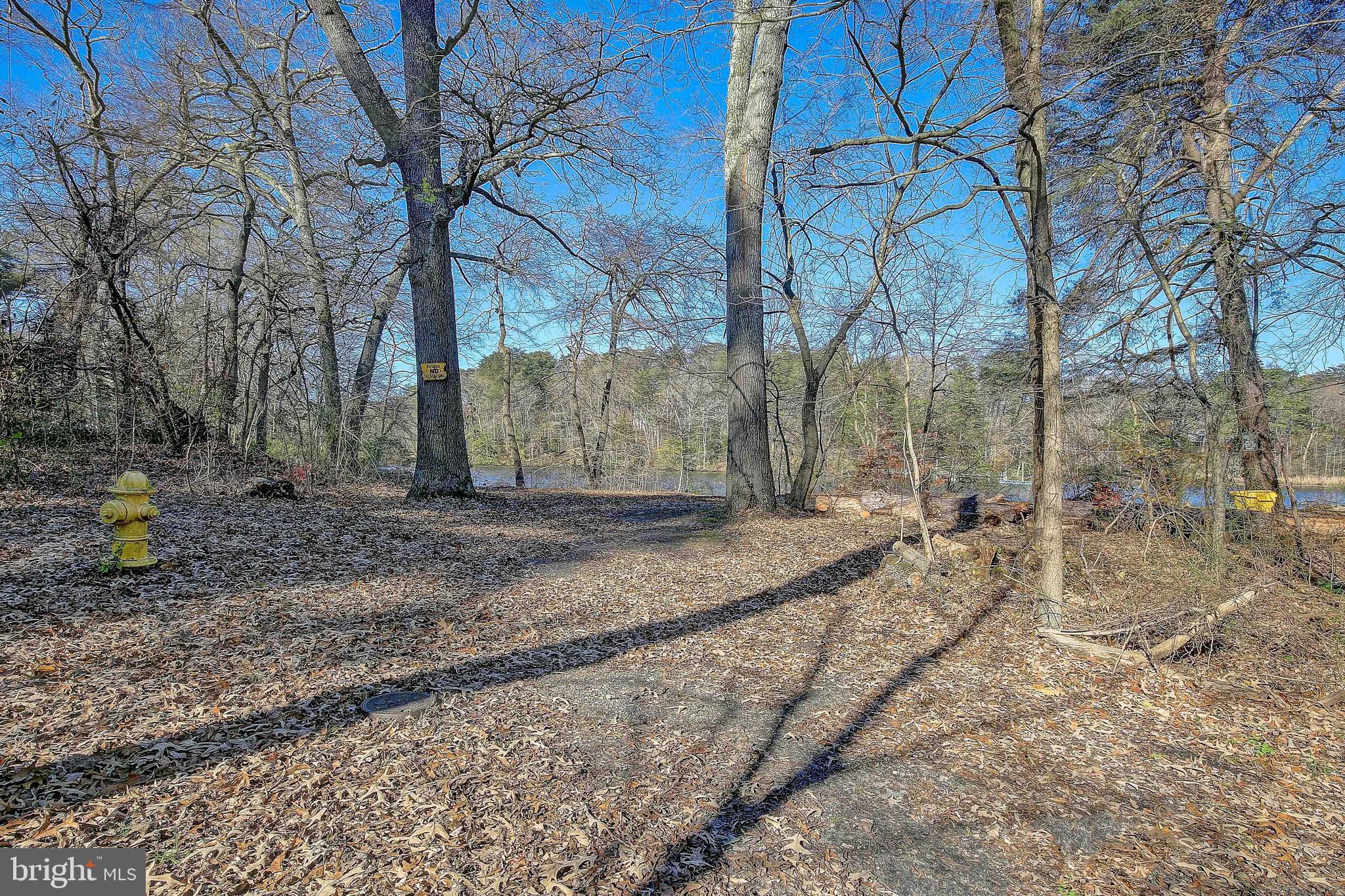 342 Metropolitan Boulevard Pasadena, MD 21122 - Photo 38 of 47 a backyard of a house with lots of green space