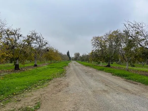 a view of a road with a trees in the background