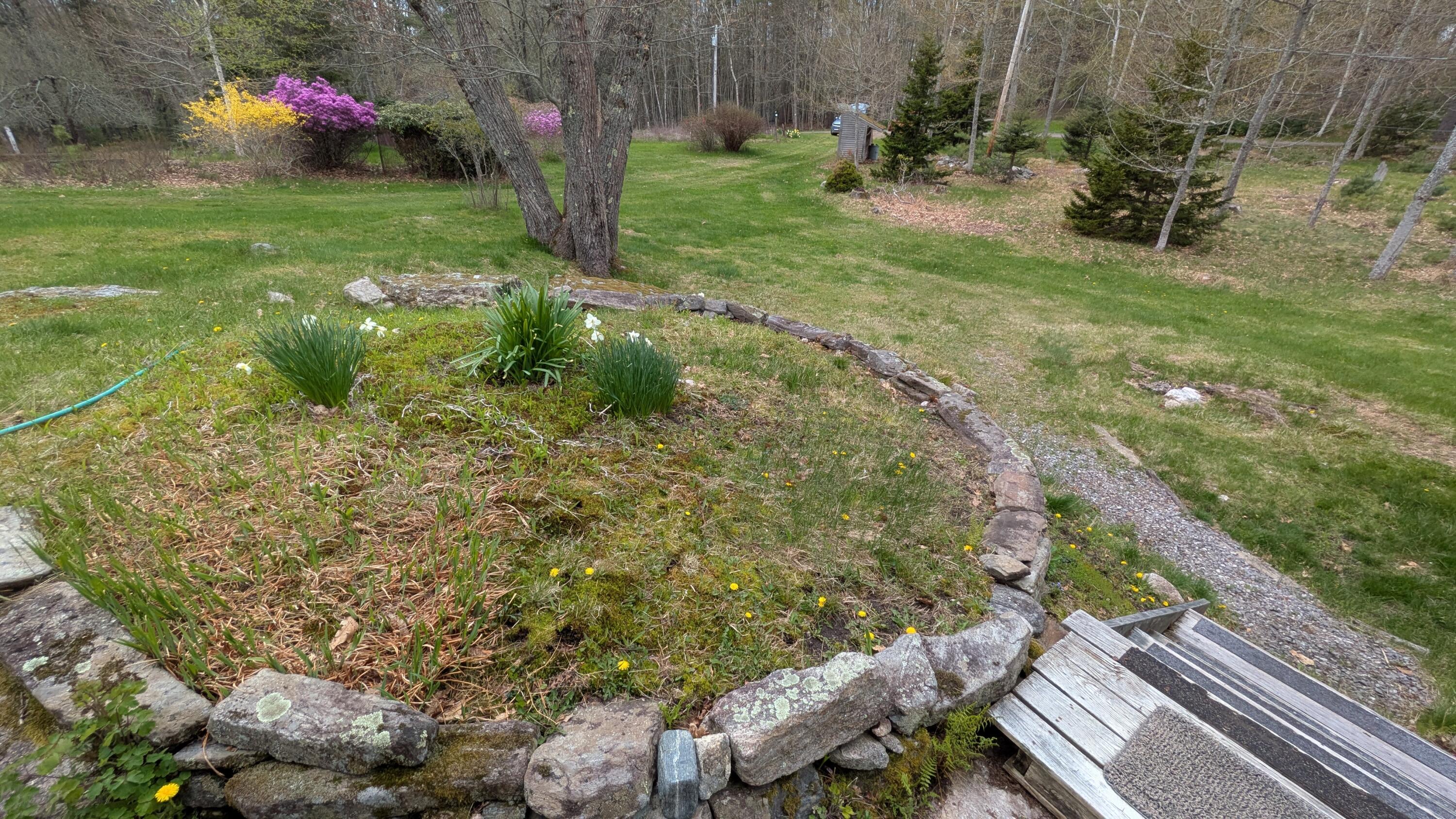 43 Flying Point Road Georgetown, ME 04548 - Photo 34 of 64 PXL_20260512_152014787