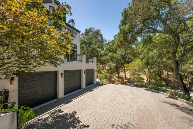 a view of a hallway with wooden floor a potted plant