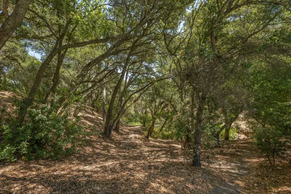 $8,800,000 | 333 Raymundo Drive, Woodside, CA 94062