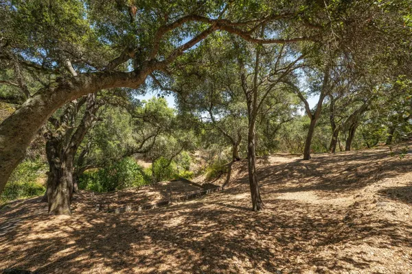 $8,800,000 | 333 Raymundo Drive, Woodside, CA 94062