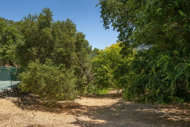 a front view of a house with a tree