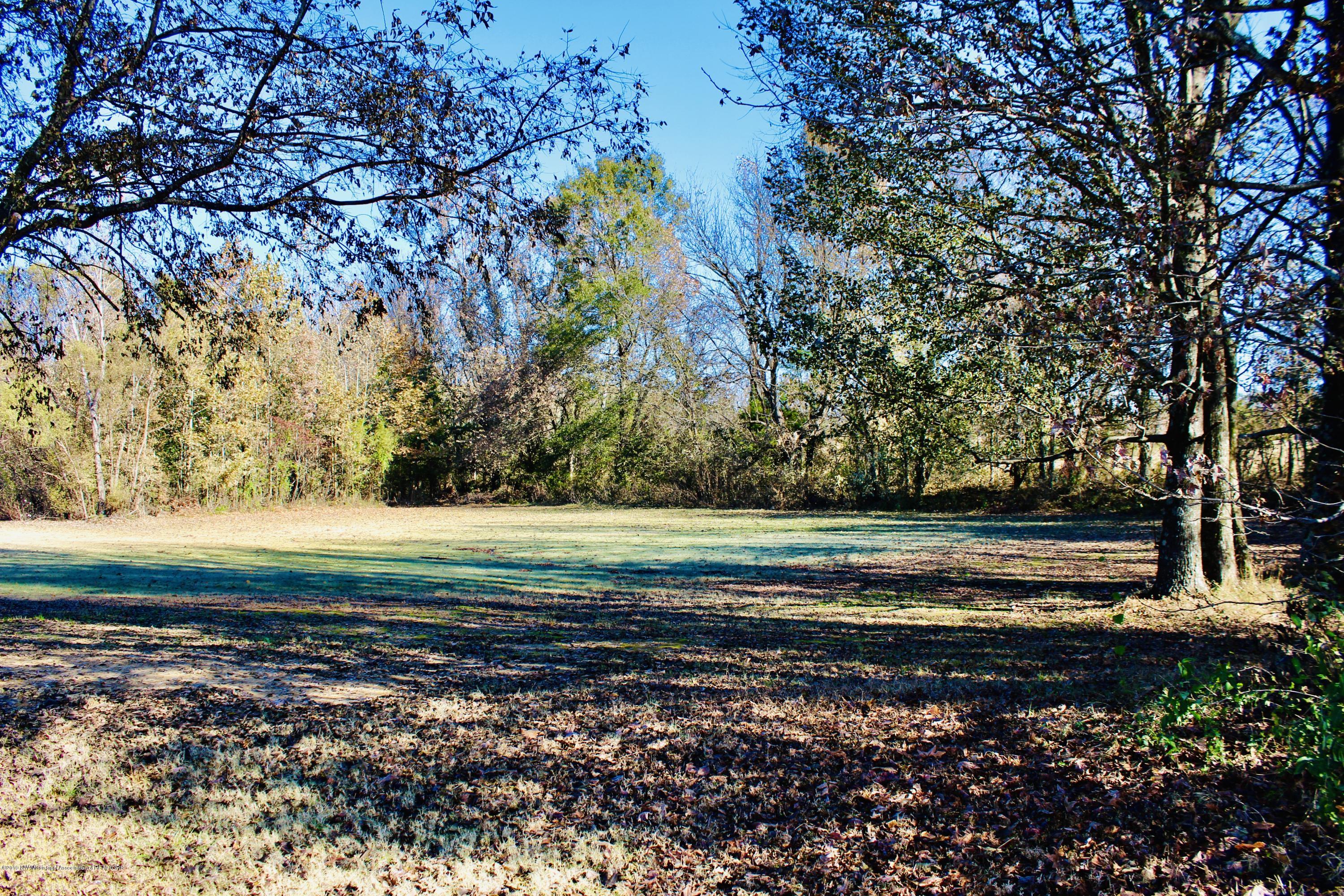 1912 Tulane Road Hernando, MS 38632 - Photo 27 of 31 Backyard