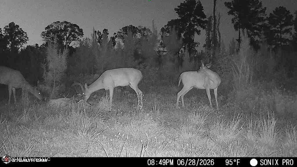 3368 Busy Corner Road Gloster, MS 39638 - Photo 27 of 36 c3504767-5da2-4c1c-bb2b-c883bae05182