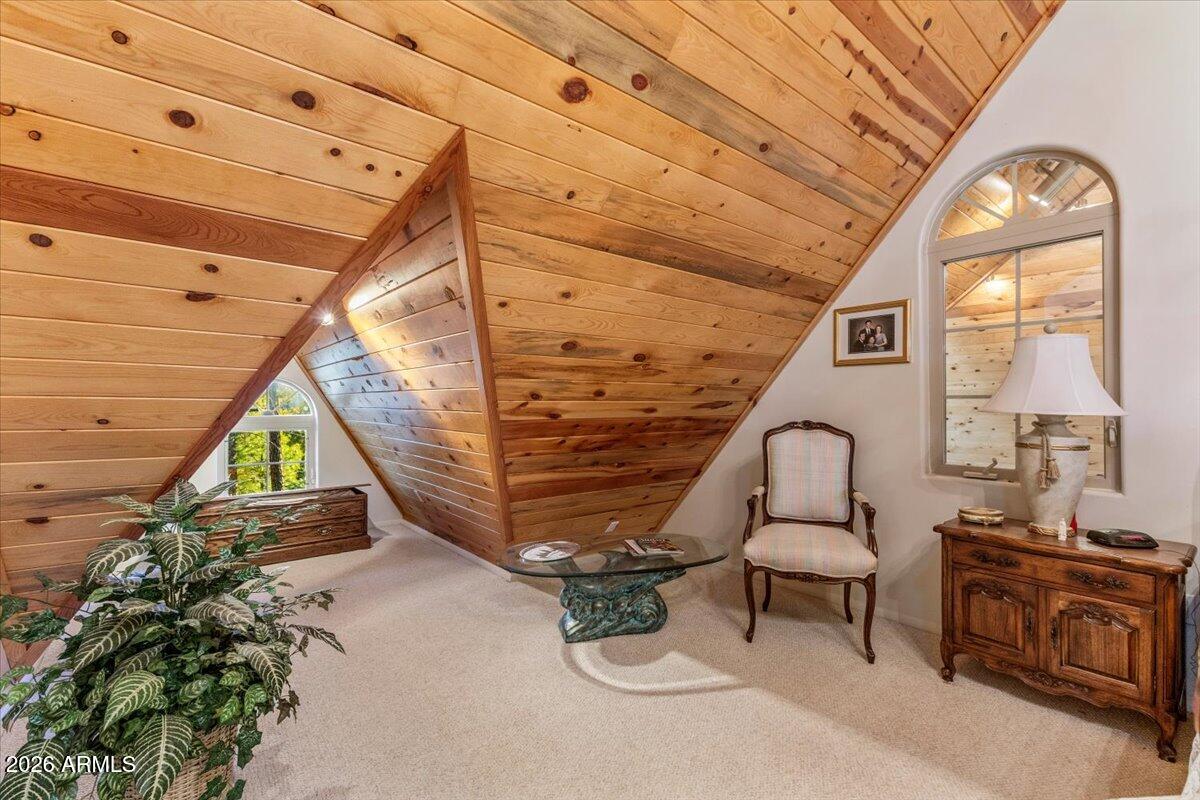 12 County Road Alpine, AZ 85920 - Photo 32 of 59 35-IMG_0990