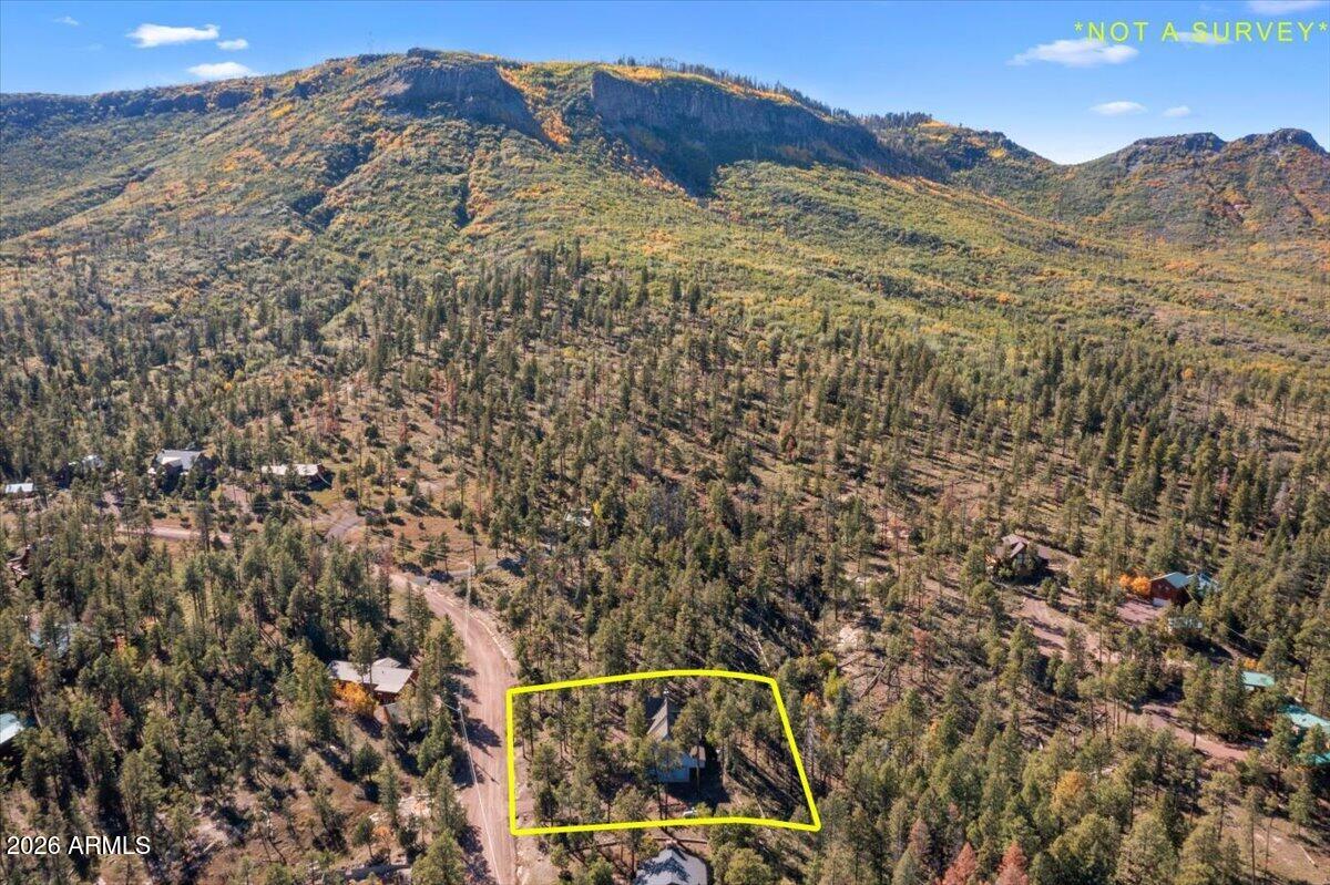 12 County Road Alpine, AZ 85920 - Photo 48 of 59 48-DJI_0324-1