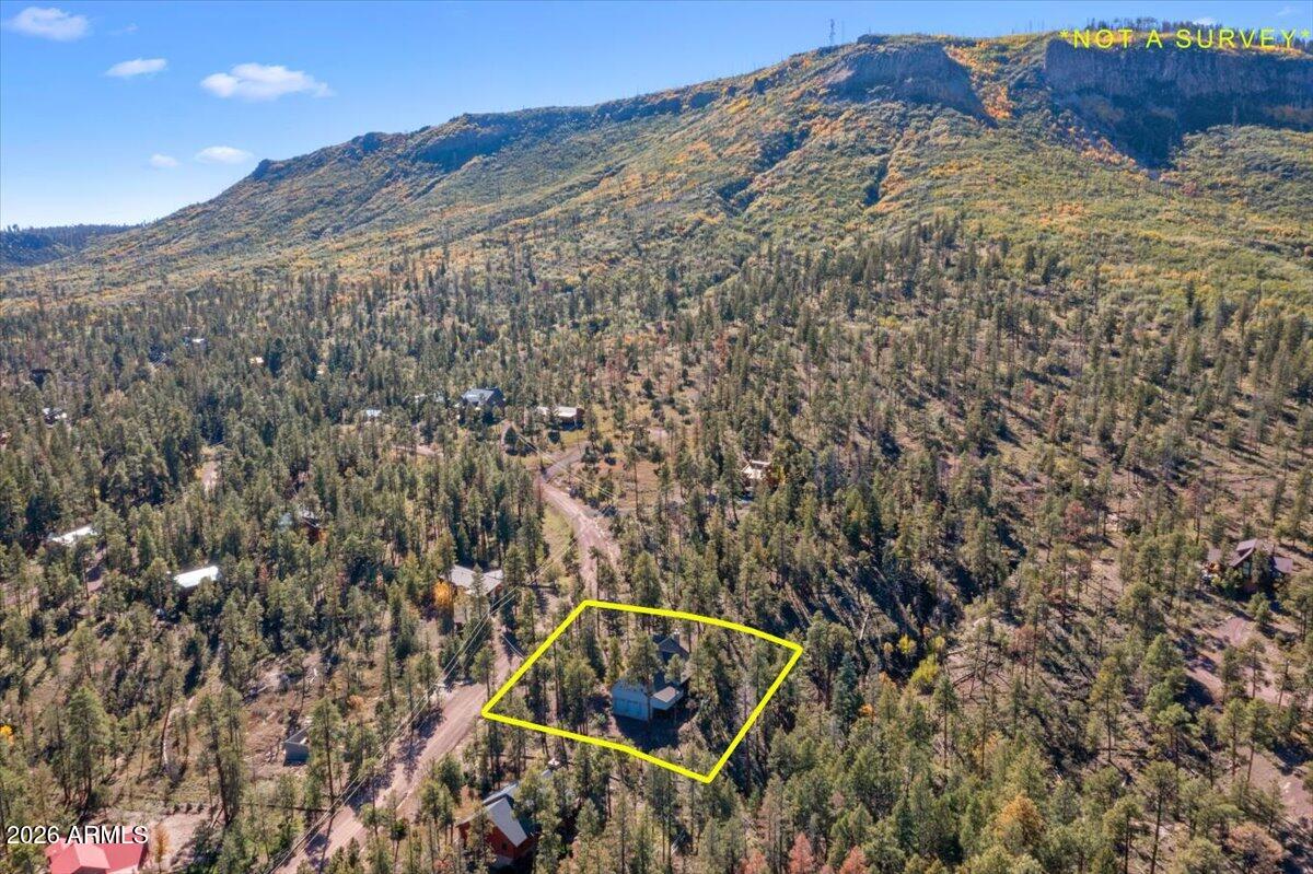 12 County Road Alpine, AZ 85920 - Photo 49 of 59 49-DJI_0329-1