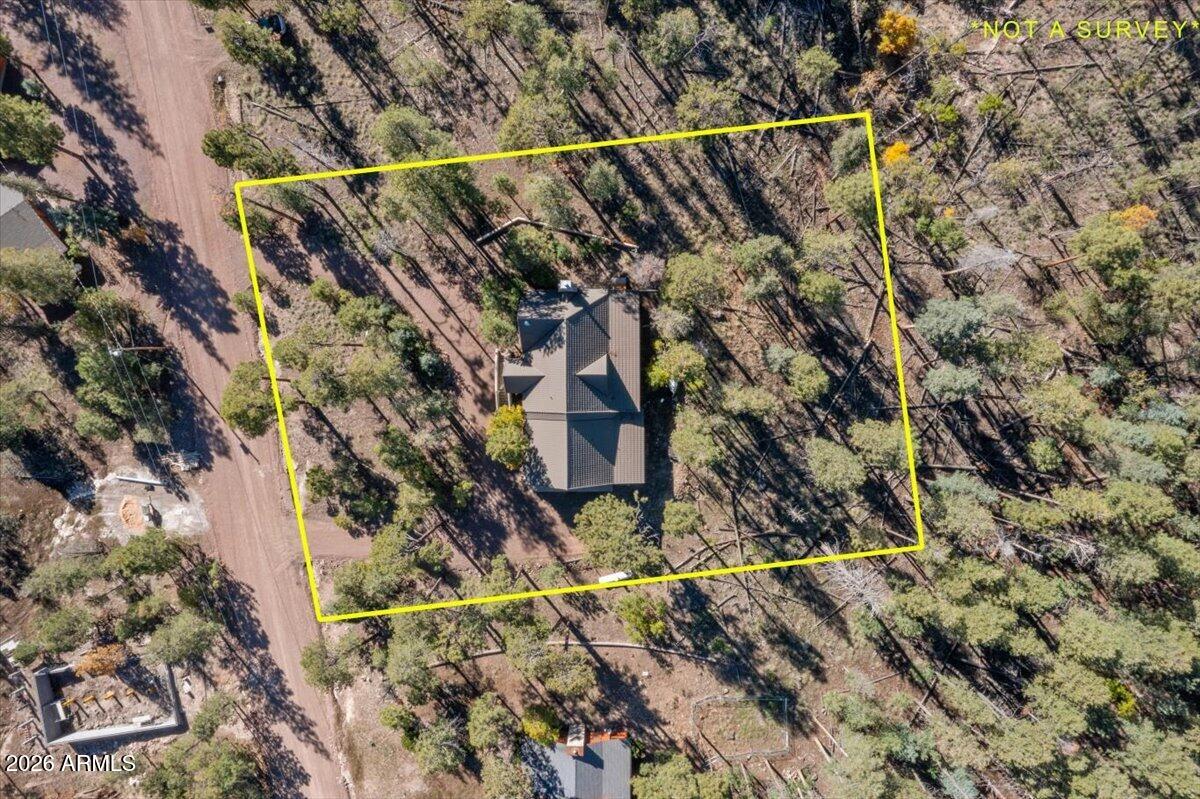 12 County Road Alpine, AZ 85920 - Photo 50 of 59 50-DJI_0319-1