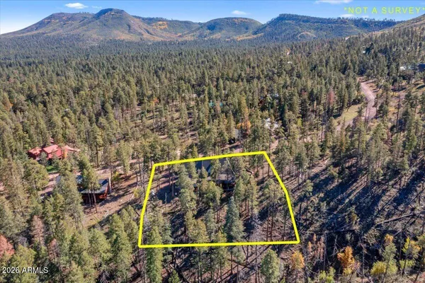 $840,000 | 12 County Road, Alpine, AZ 85920