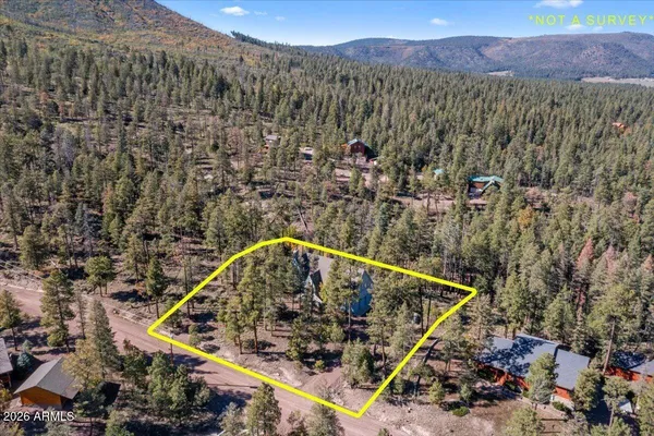 $840,000 | 12 County Road, Alpine, AZ 85920