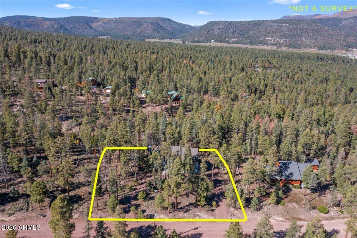 12 County Road Alpine, AZ 85920 - Photo 54 of 59 54-DJI_0364-1