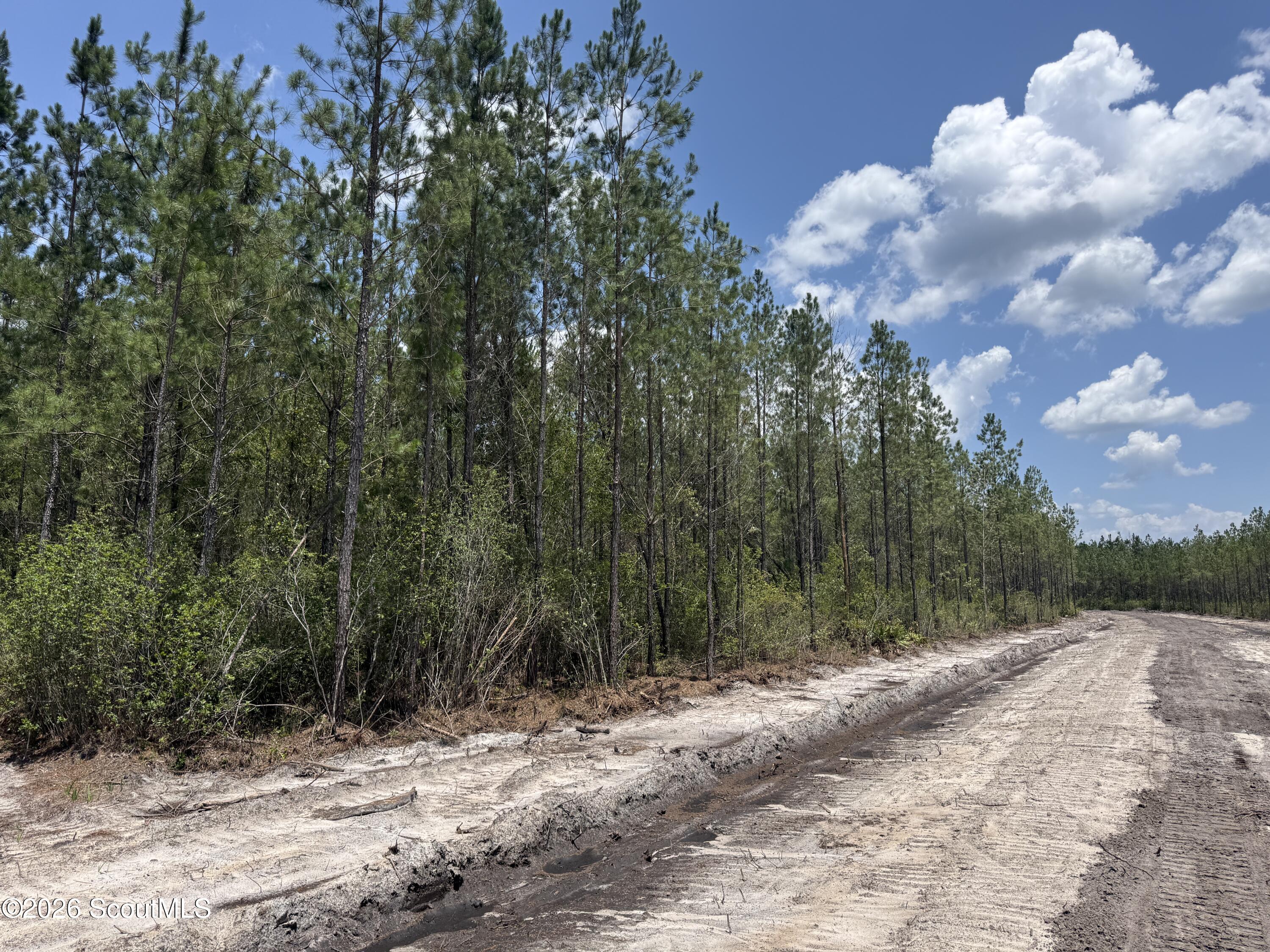 Lot 8 Corbitt Road, Unit LOT 8 Manor, GA 31550 - Photo 1 of 10 IMG_8029