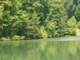 Lot 110 Palomino Road Carthage, NC 28327 - Photo 4 of 17 Lot110-4