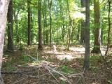 Lot 110 Palomino Road Carthage, NC 28327 - Photo 8 of 17 Lot110-8