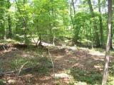 Lot 110 Palomino Road Carthage, NC 28327 - Photo 10 of 17 Lot110-10