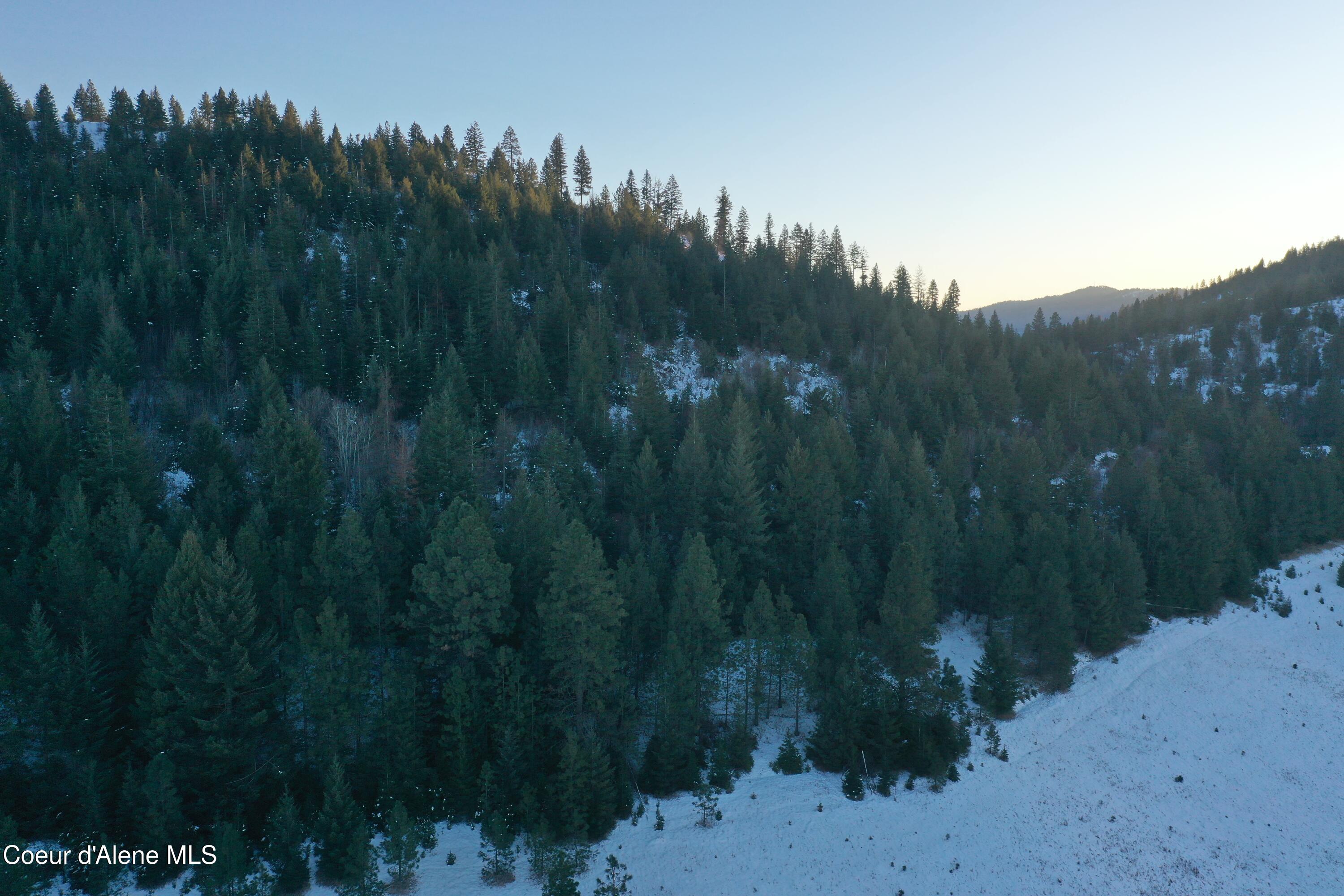 Nka Merideth Road Plummer, ID 83851 - Photo 6 of 7 DJI_0683