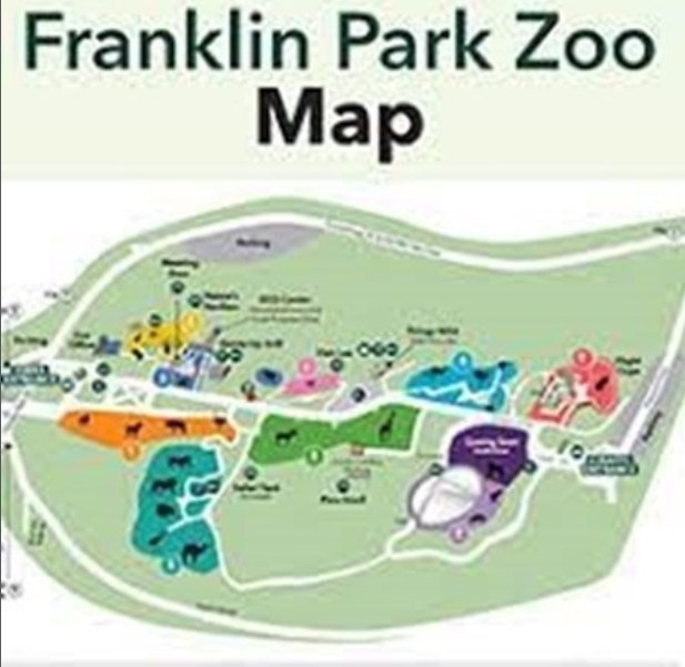 41 Charlotte Street Boston, MA 02121 - Photo 4 of 5