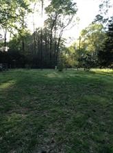 a view of outdoor space and yard