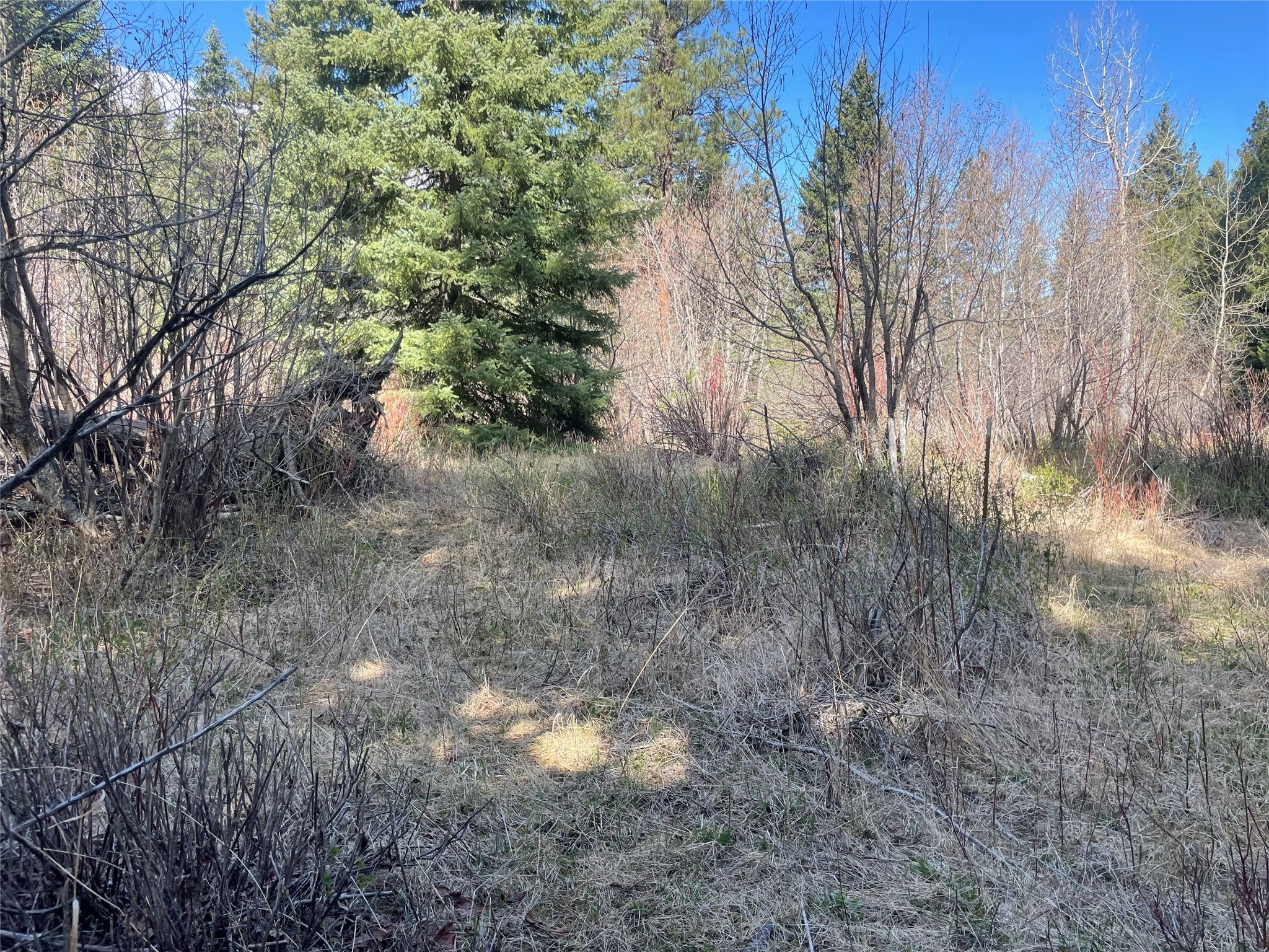 617 McClellan Creek Road Clancy, MT 59634 - Photo 70 of 99 Gallery Image 70