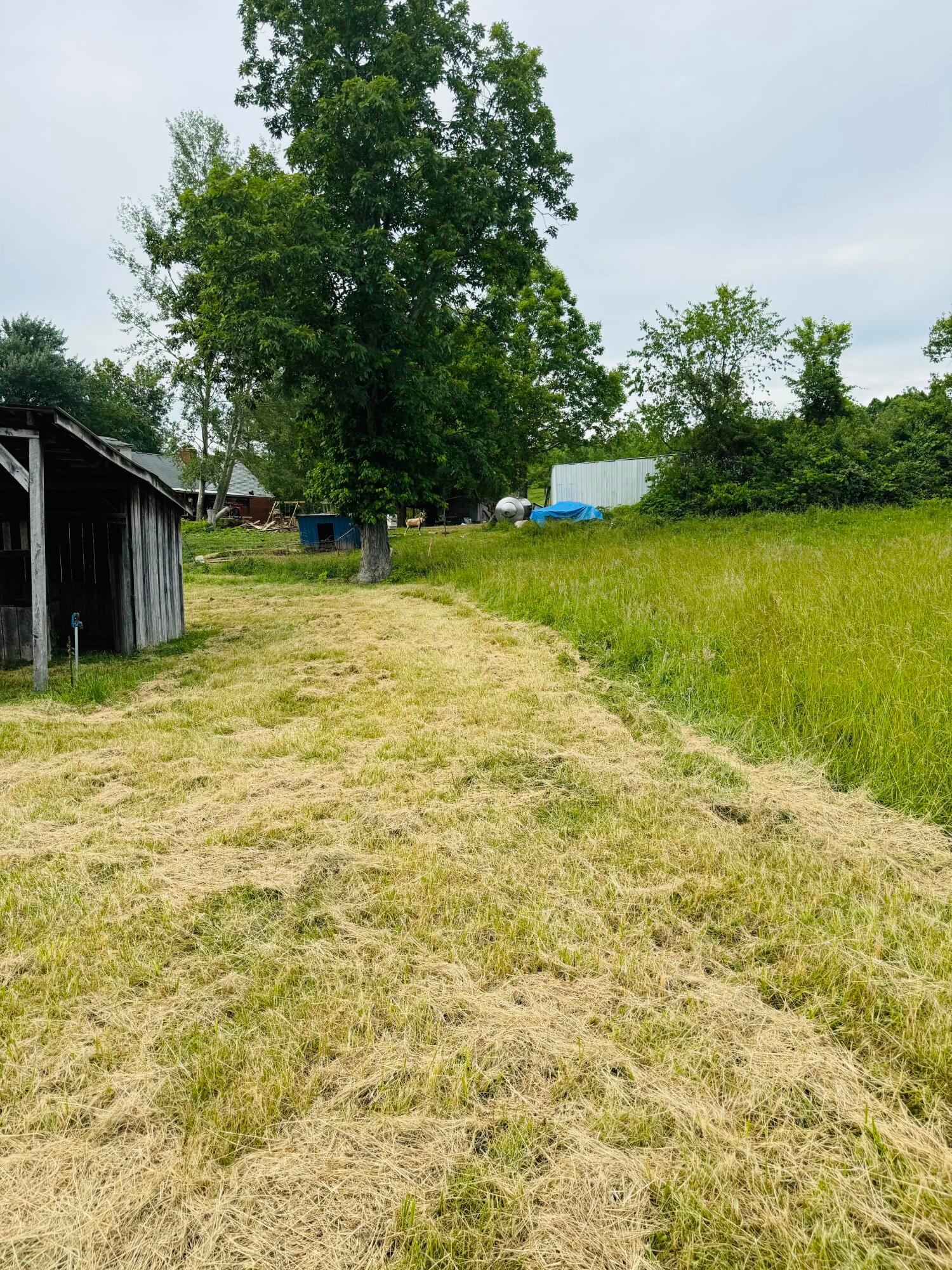 37416 New Lima Road, Unit 2 251 ACRES Rutland, OH 45775 - Photo 7 of 11 marker for tract 2 back behind shed