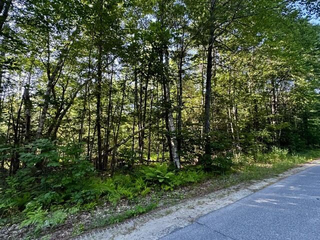 Lot 1 Skogen Ridge Drive Belgrade, ME 04917 - Photo 11 of 13 IMG_5437