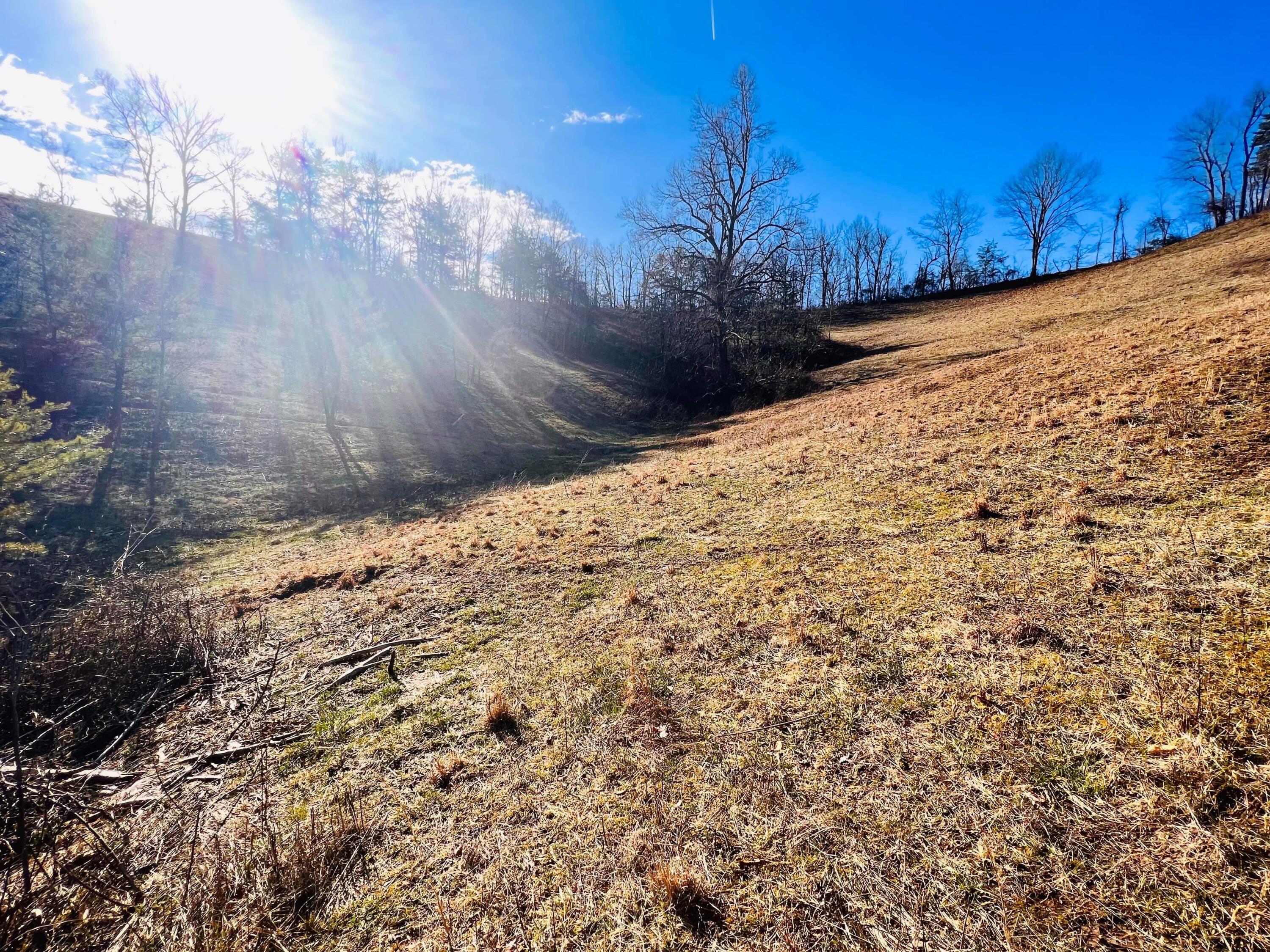 812 Stringtown Road Sandy Hook, KY 41171 - Photo 154 of 154 IMG_5948