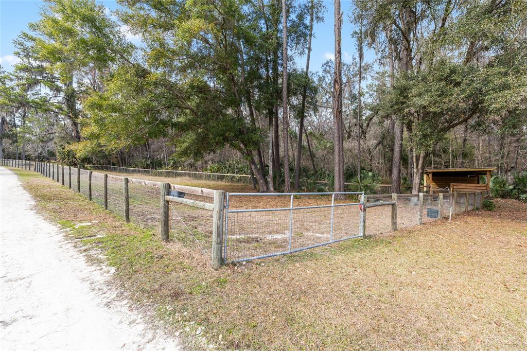 22157 Northwest 87th Avenue Road Micanopy, FL 32667 - Photo 27 of 34