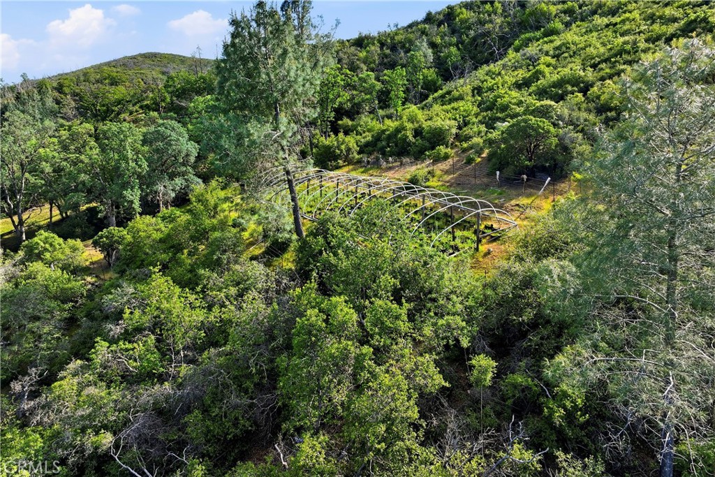 26200 Morgan Valley Road Lower Lake, CA 95457 - Photo 67 of 69 view of a lush green forest with lots of trees