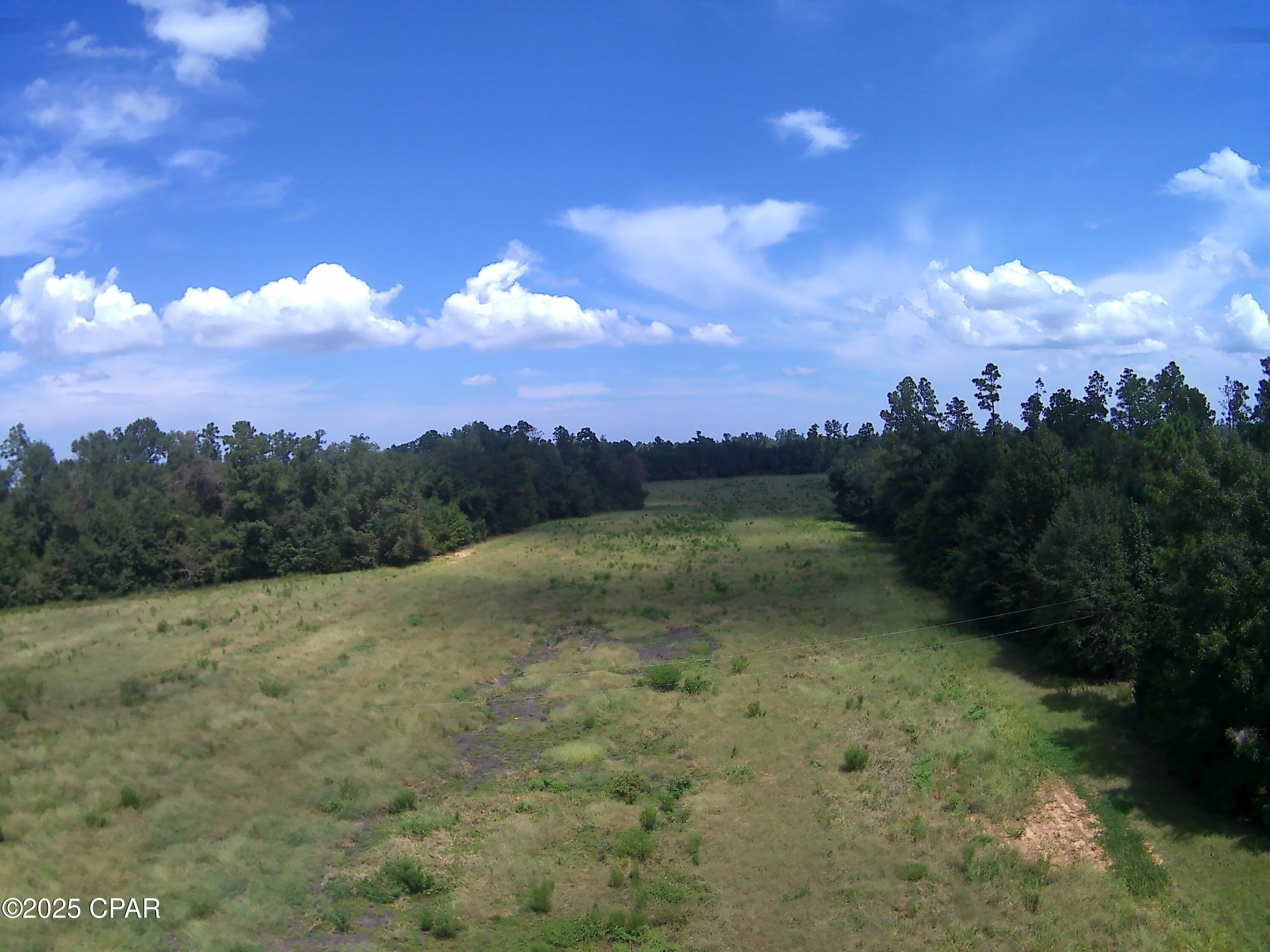 3376 Kynesville Road Cottondale, FL 32431 - Photo 3 of 10