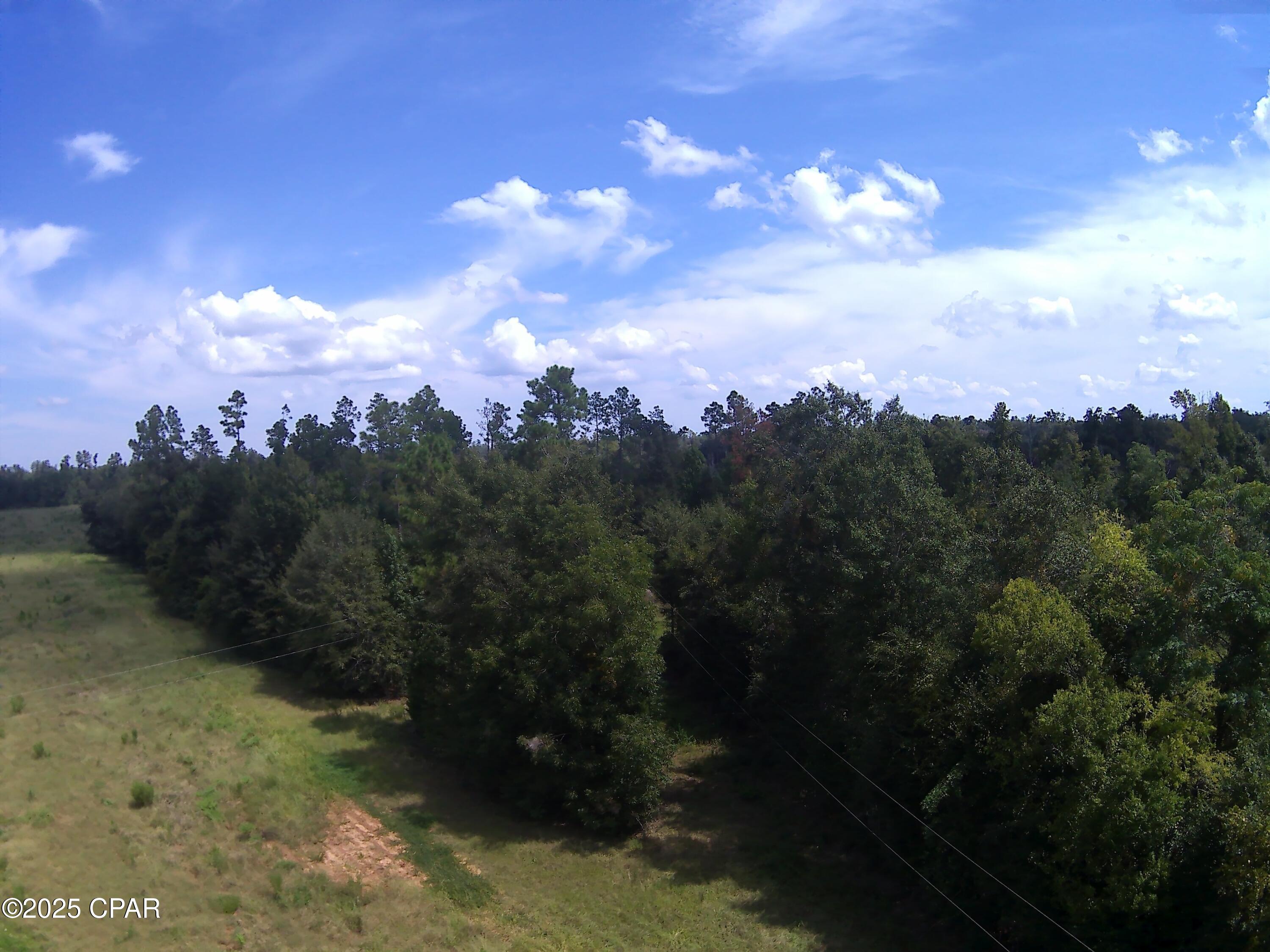 3376 Kynesville Road Cottondale, FL 32431 - Photo 4 of 10