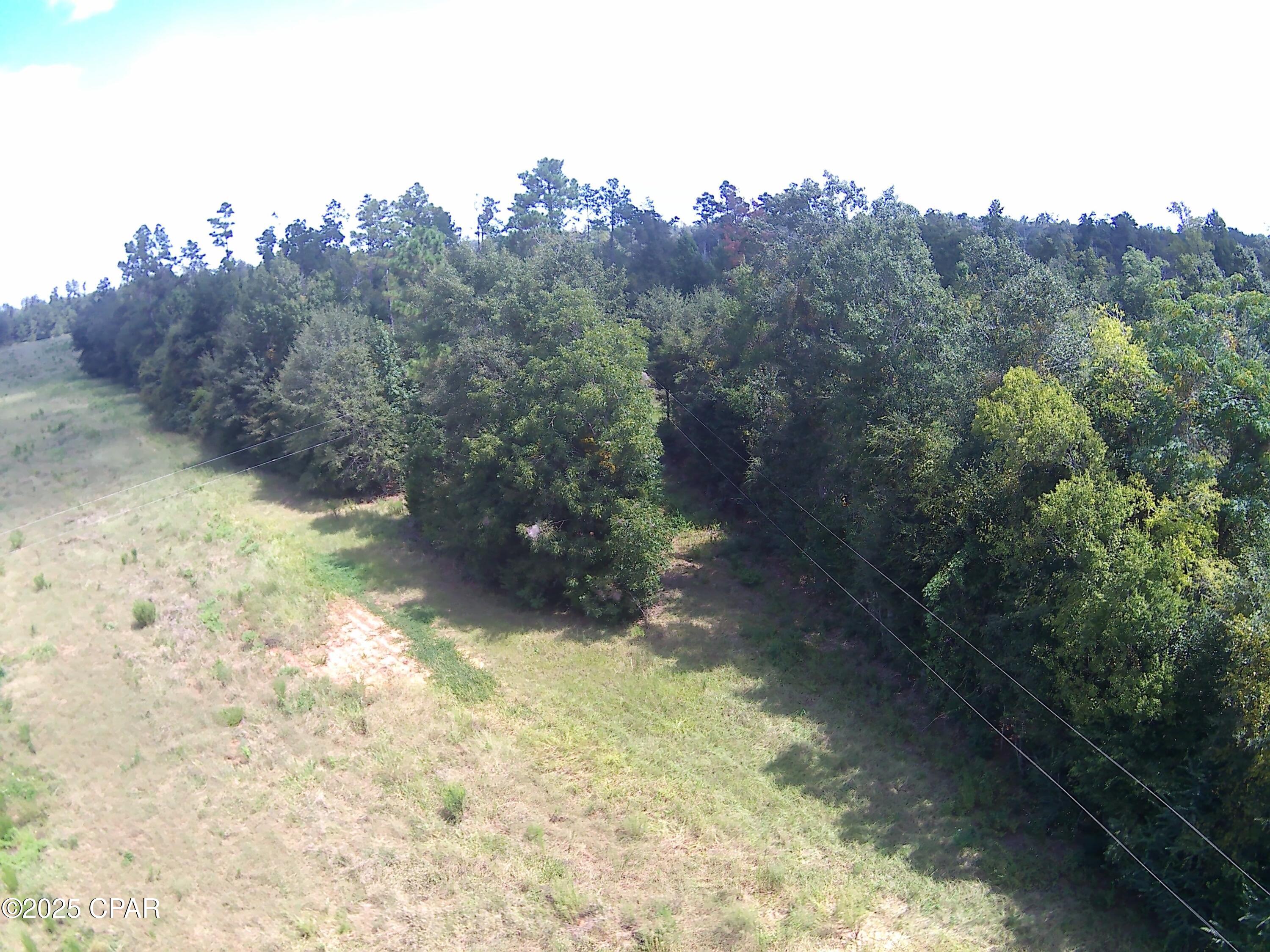 3376 Kynesville Road Cottondale, FL 32431 - Photo 5 of 10