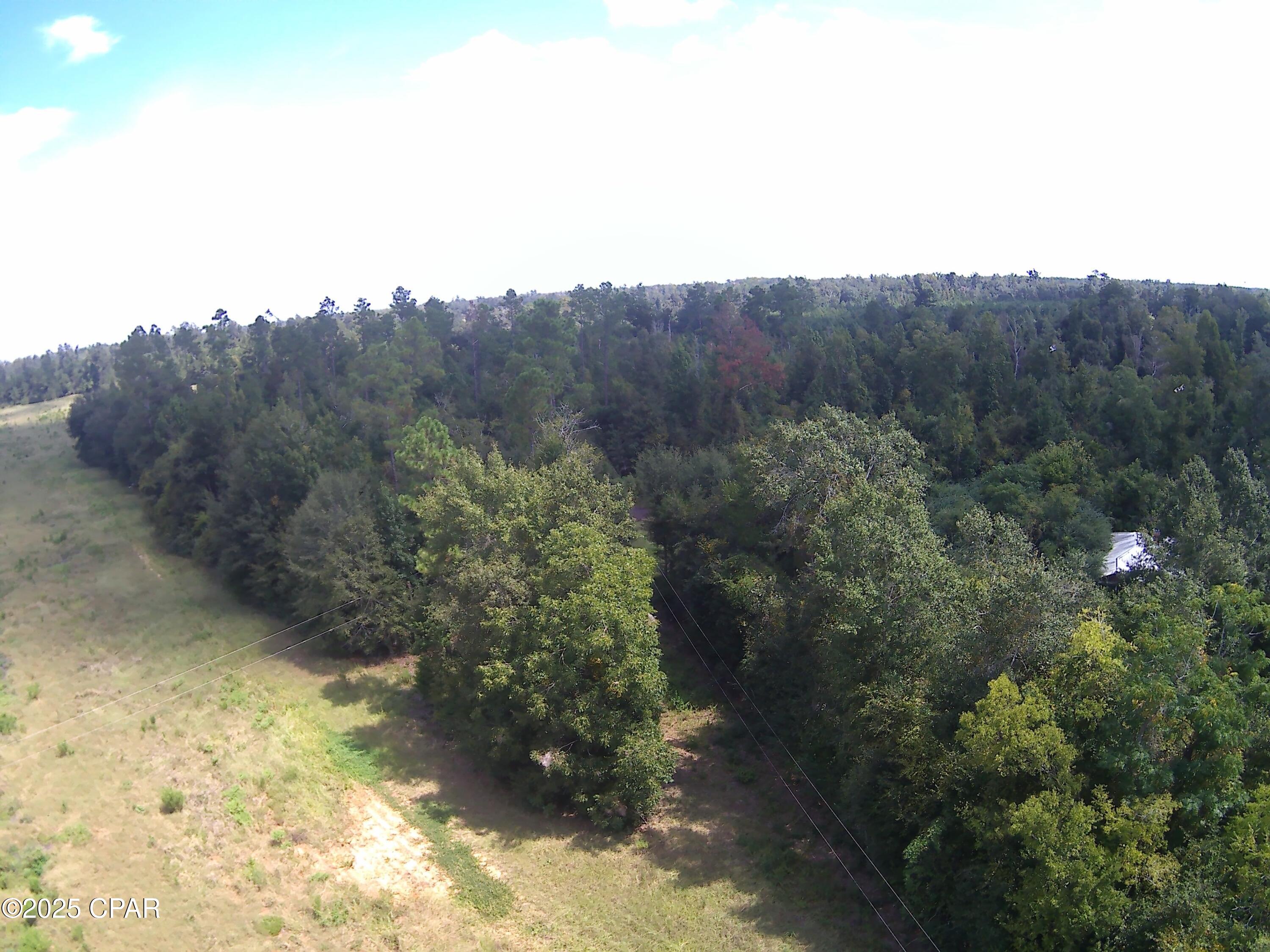 3376 Kynesville Road Cottondale, FL 32431 - Photo 6 of 10