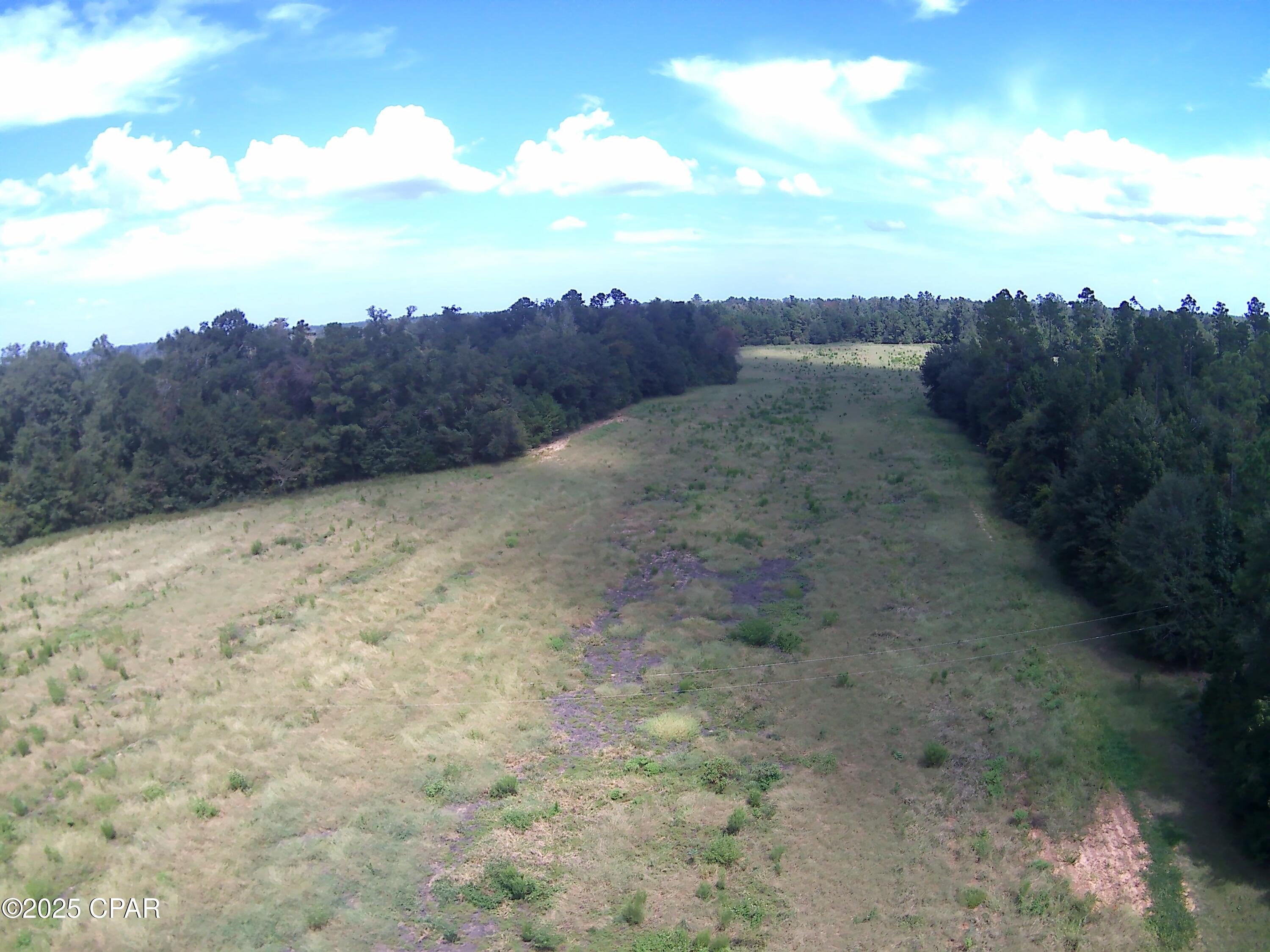 3376 Kynesville Road Cottondale, FL 32431 - Photo 7 of 10