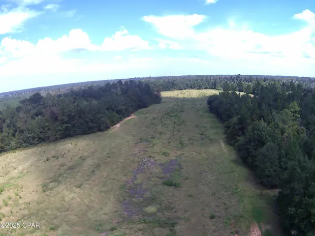 $650,000 | 3376 Kynesville Road, Cottondale, FL 32431