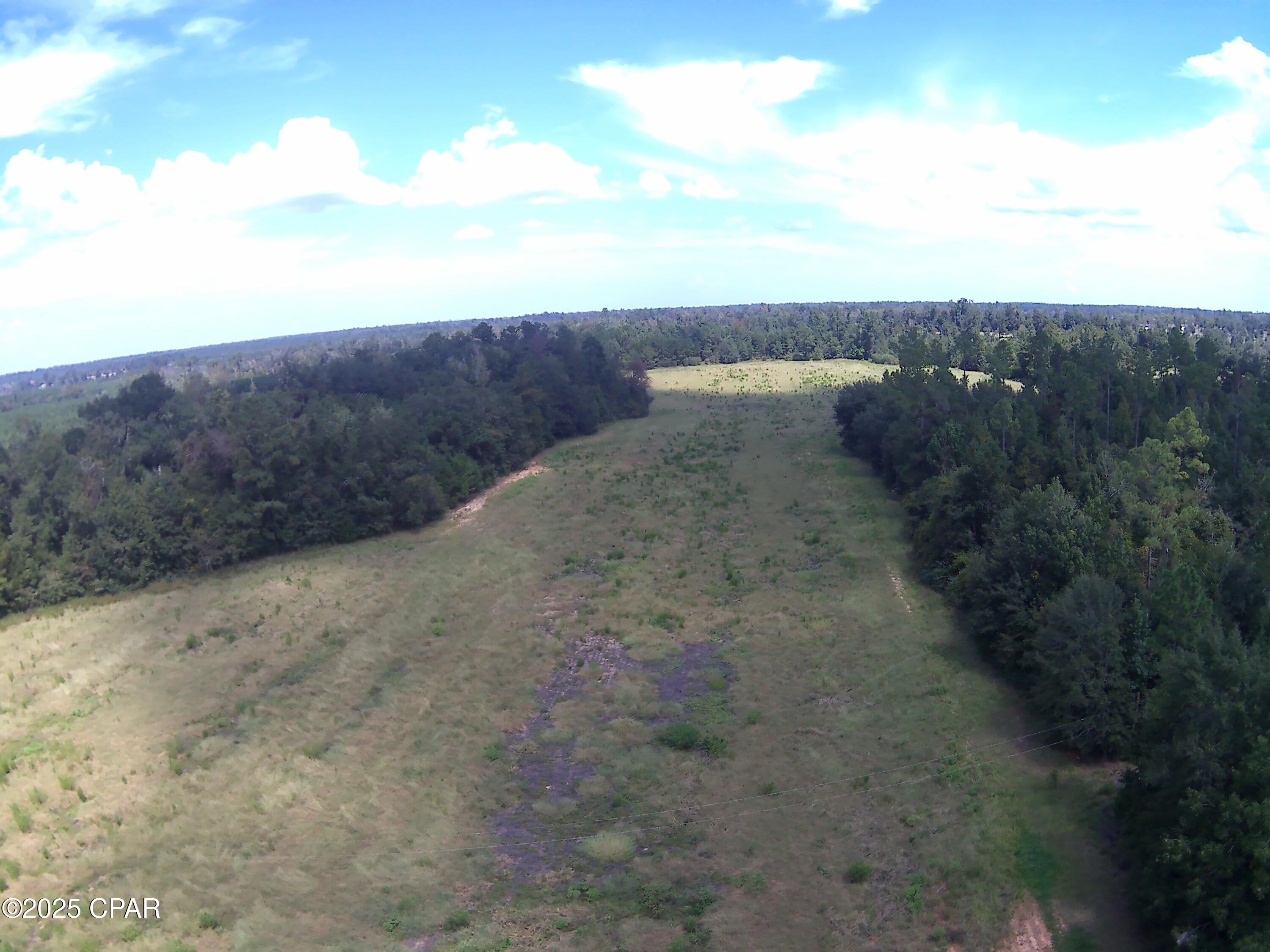 3376 Kynesville Road Cottondale, FL 32431 - Photo 8 of 10