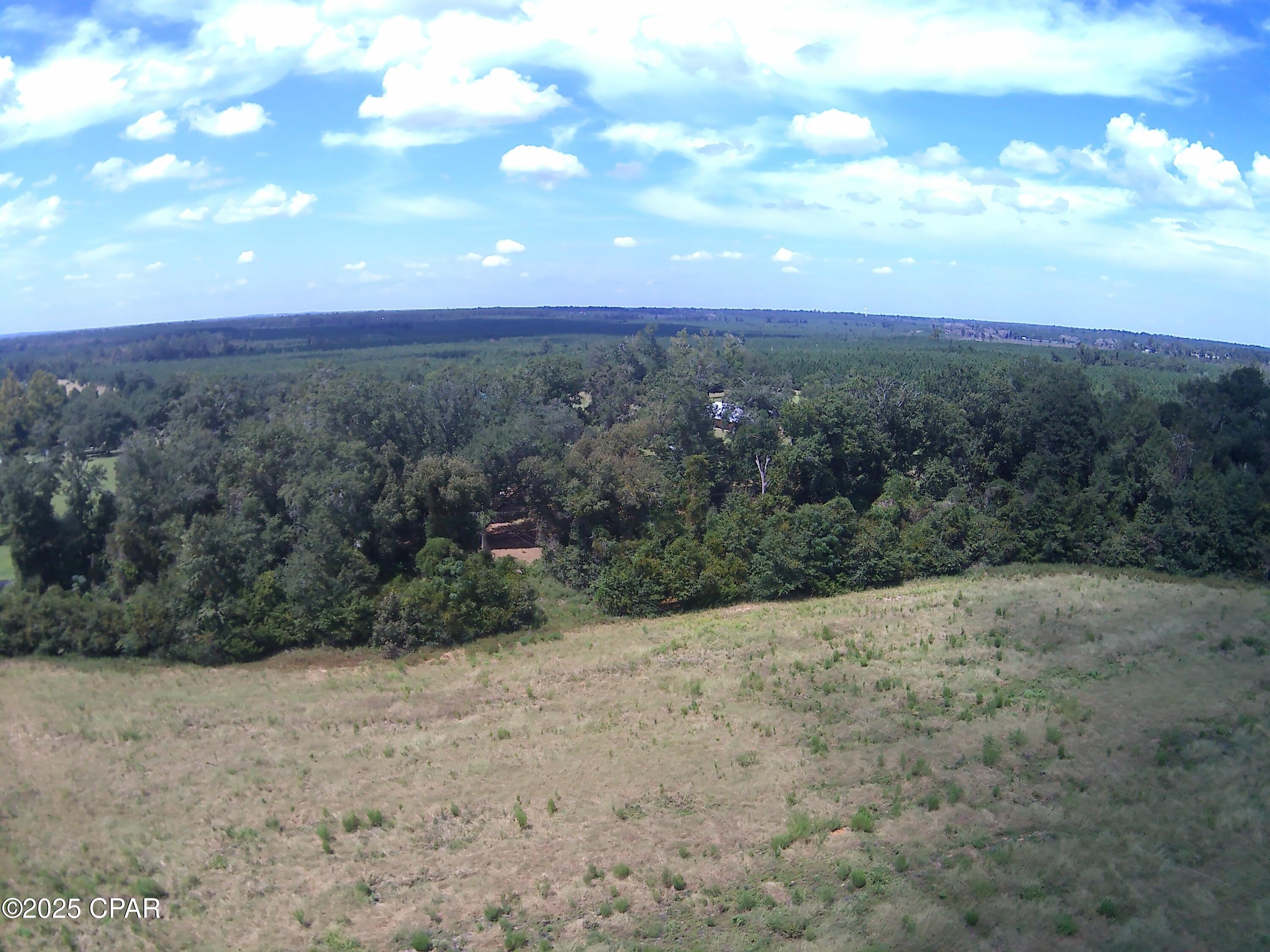 3376 Kynesville Road Cottondale, FL 32431 - Photo 9 of 10