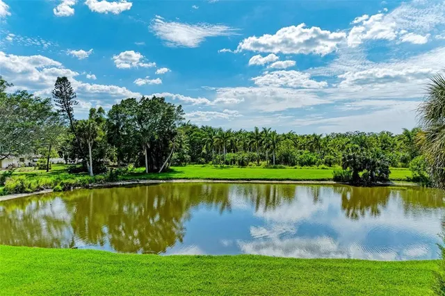 a view of a lake with a big yard and potted plants and large trees