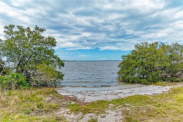 a view of a yard with an trees