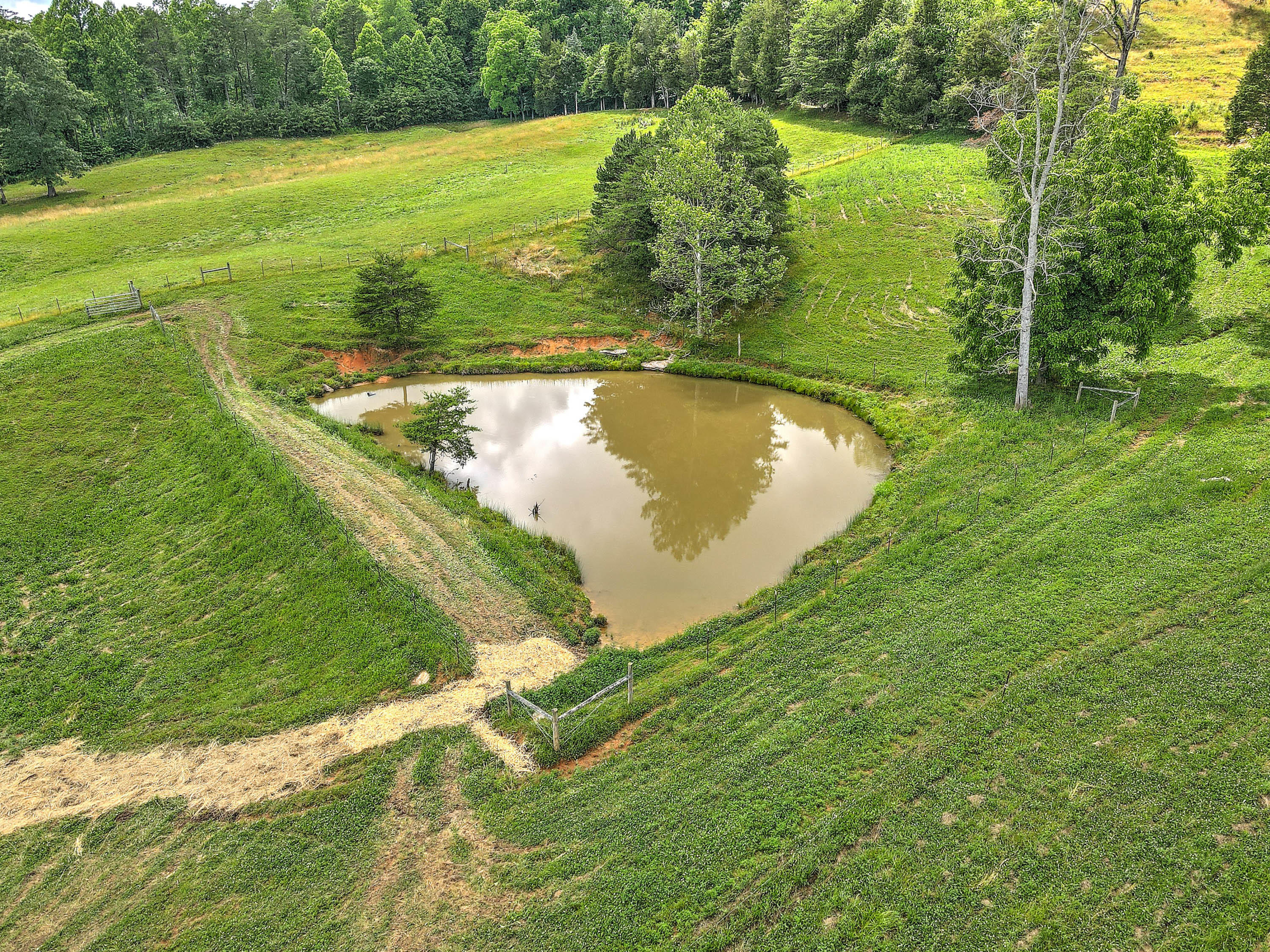 360 Bray Road Surgoinsville, TN 37873 - Photo 3 of 92 360 Bray Rd-14