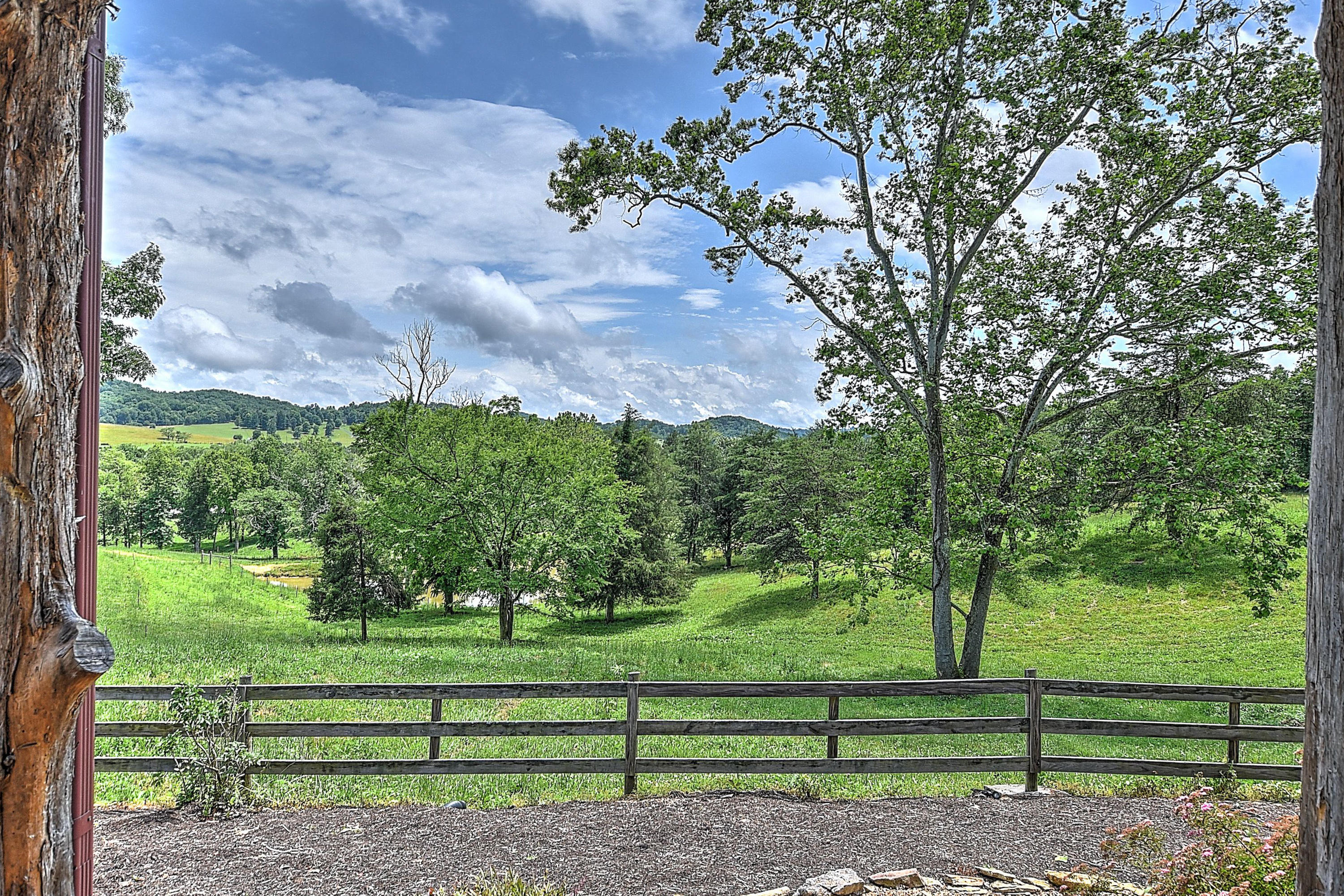 360 Bray Road Surgoinsville, TN 37873 - Photo 46 of 92 360 Bray_-46