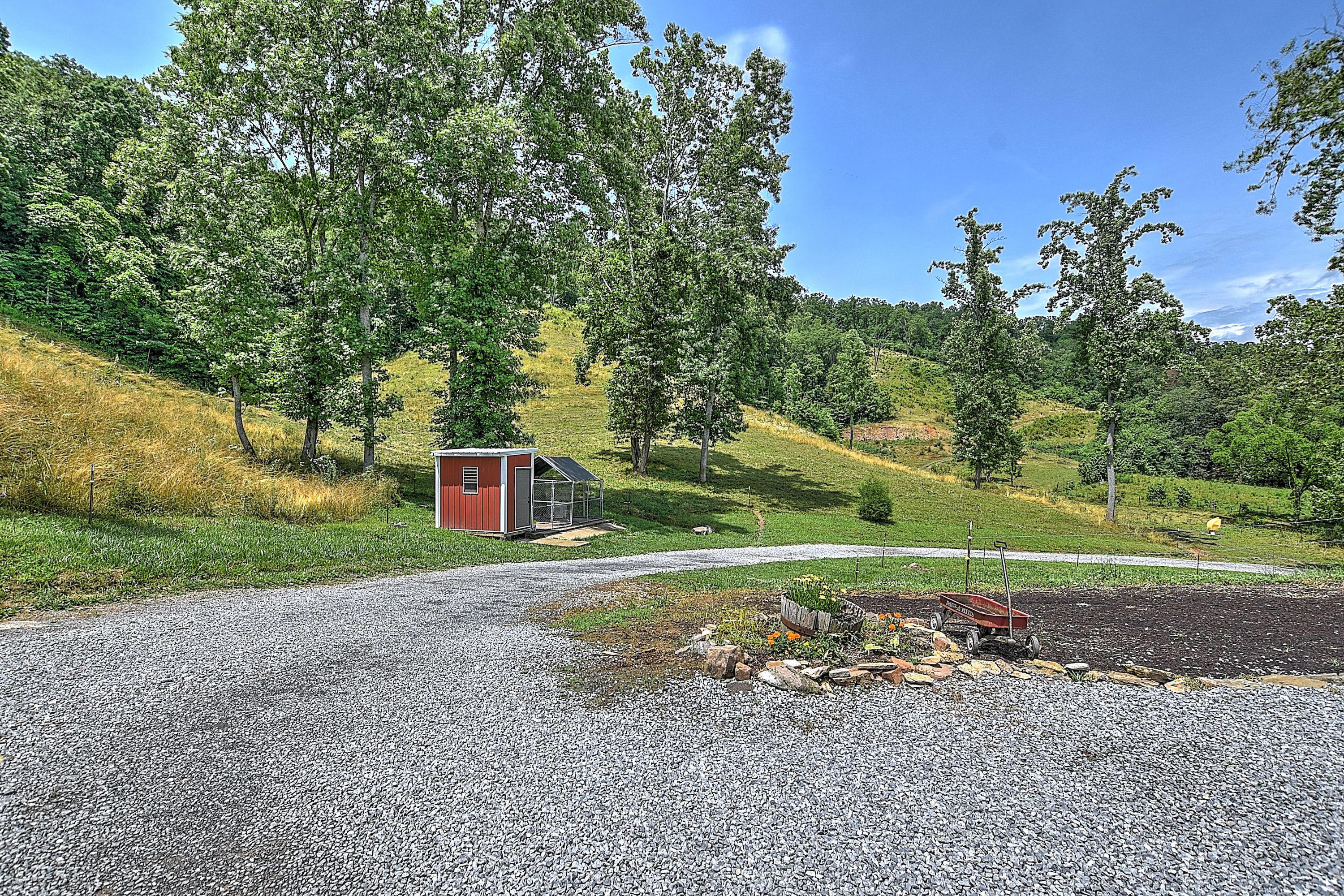 360 Bray Road Surgoinsville, TN 37873 - Photo 52 of 92 360 Bray_-51