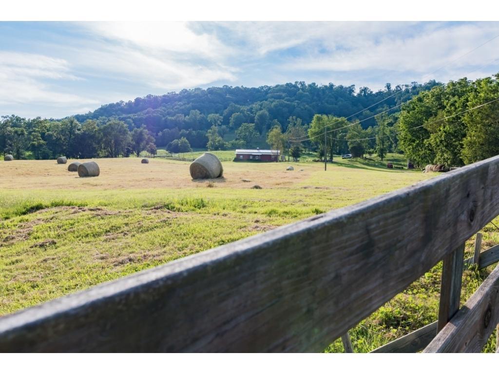 360 Bray Road Surgoinsville, TN 37873 - Photo 63 of 92 IMG_5475