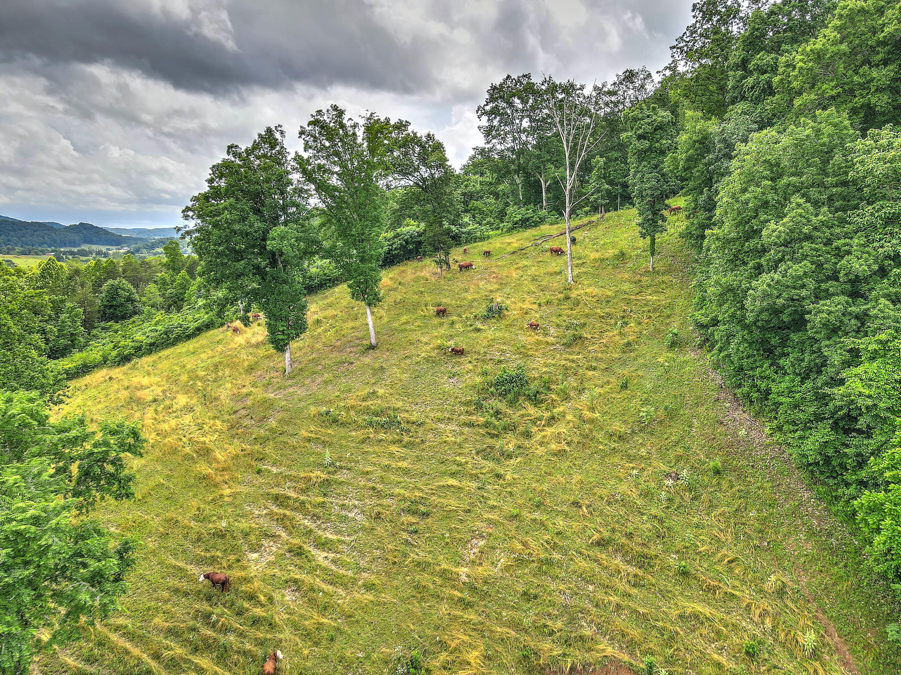 360 Bray Road Surgoinsville, TN 37873 - Photo 71 of 92 360 Bray Rd-8