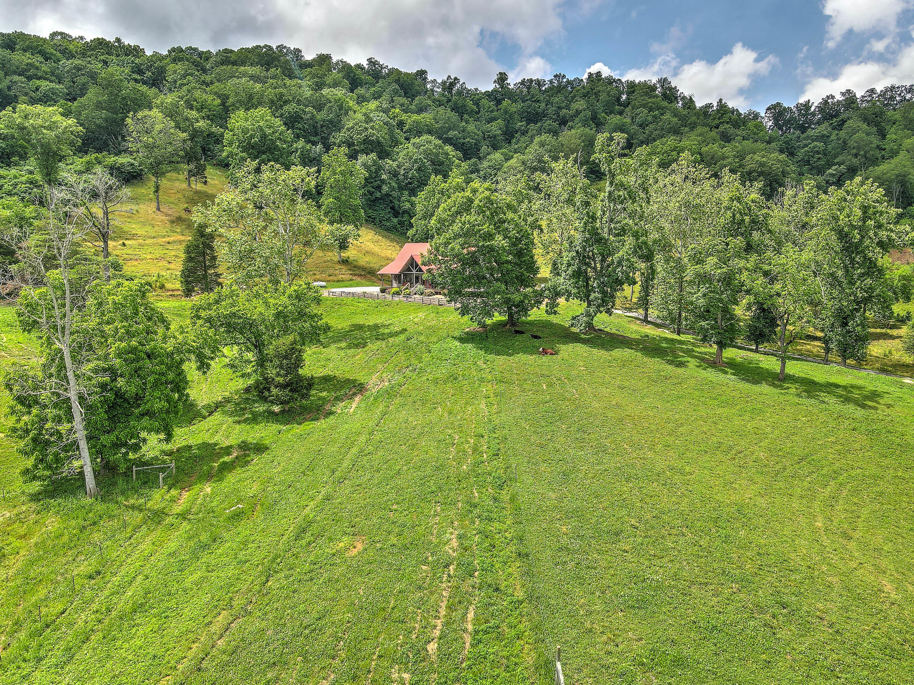 360 Bray Road Surgoinsville, TN 37873 - Photo 76 of 92 360 Bray Rd-15