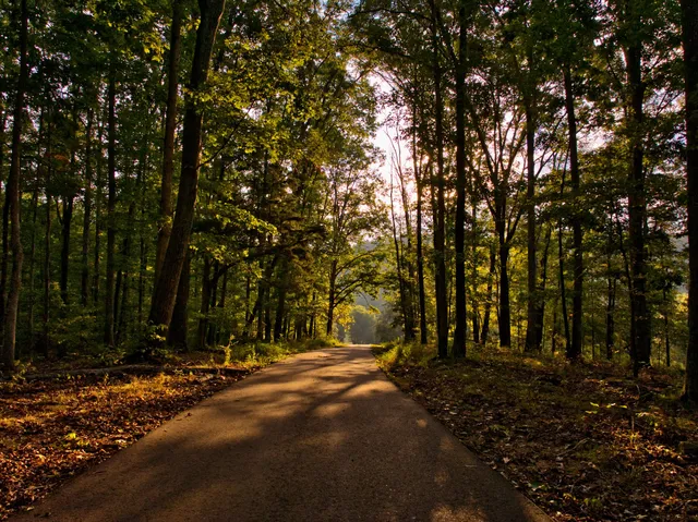 a view of a chairs and tables in patio
