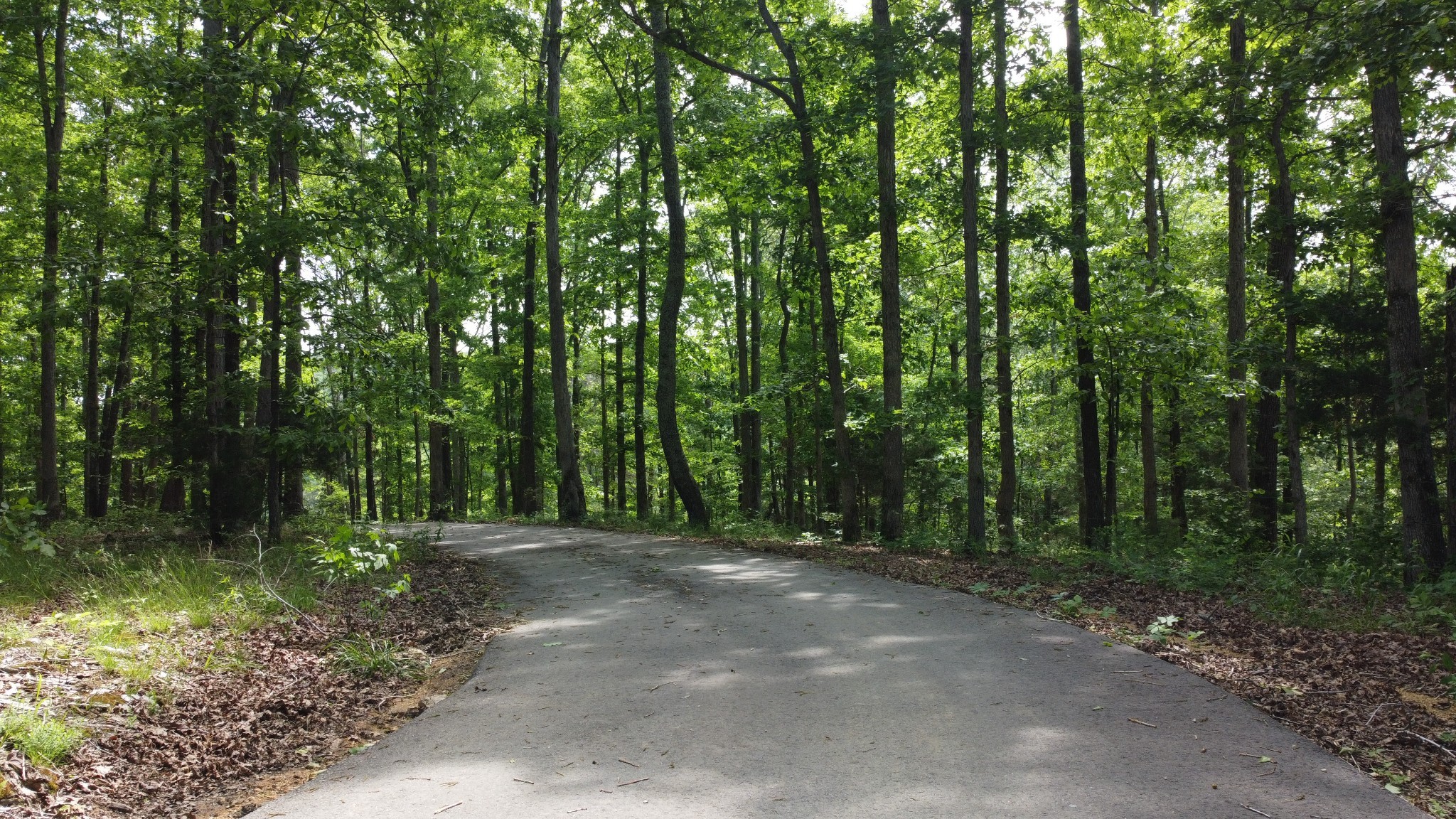 450 Lowe Branch Road Centerville, TN 37033 - Photo 87 of 100 a view of outdoor space and green space