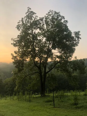 $3,480,000 | 450 Lowe Branch Road, Centerville, TN 37033